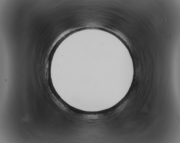 X0000082981126200703020251