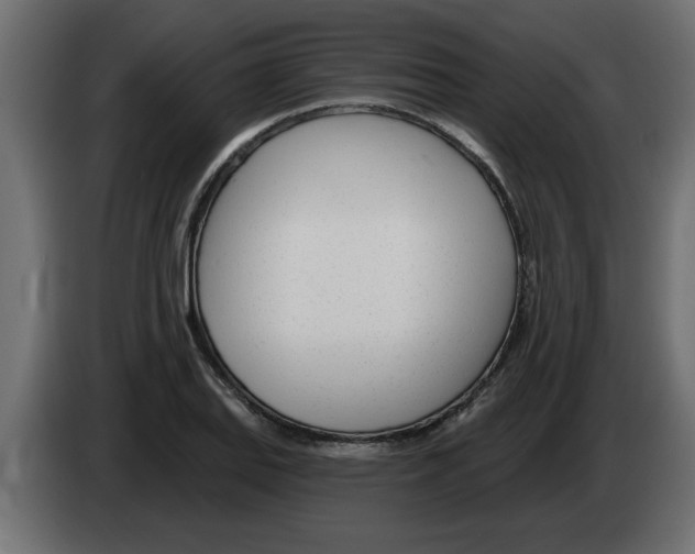 X0000082981127200703020251