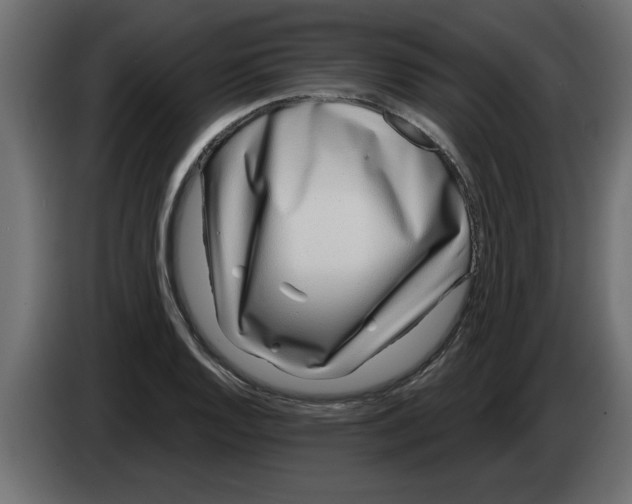 X0000082981128200703020251