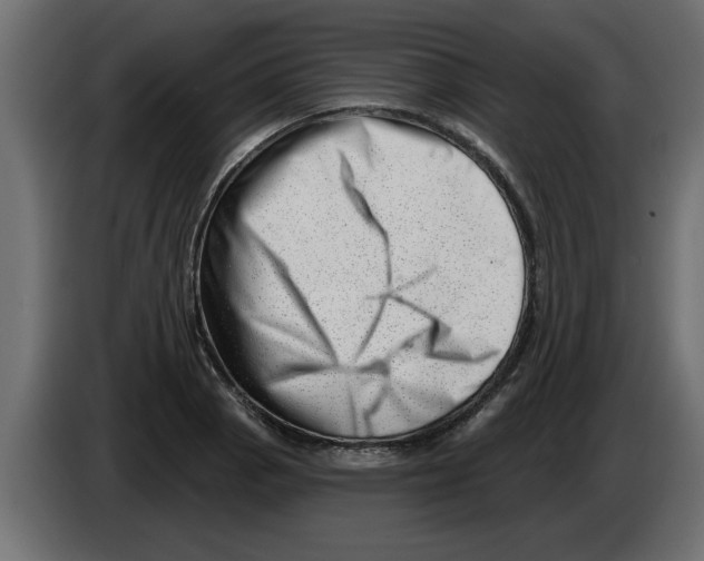X0000082981129200703020251