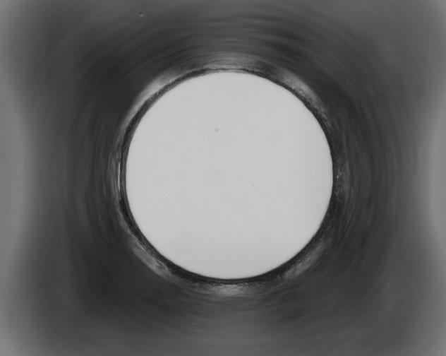 X0000082981130200703020251