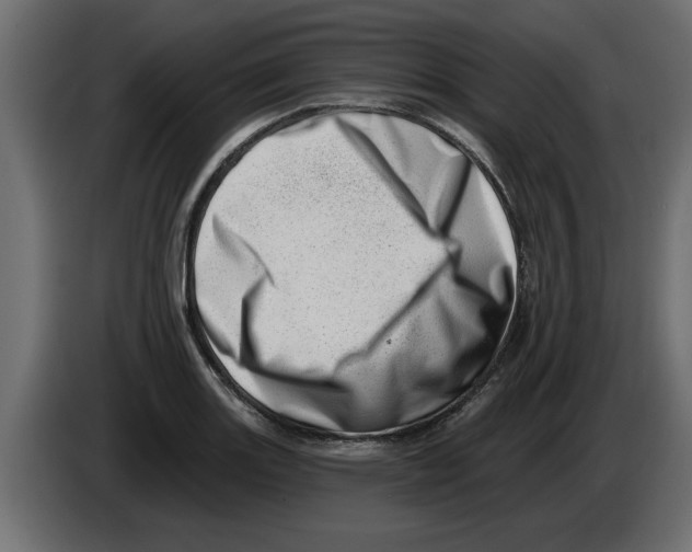 X0000082981131200703020251