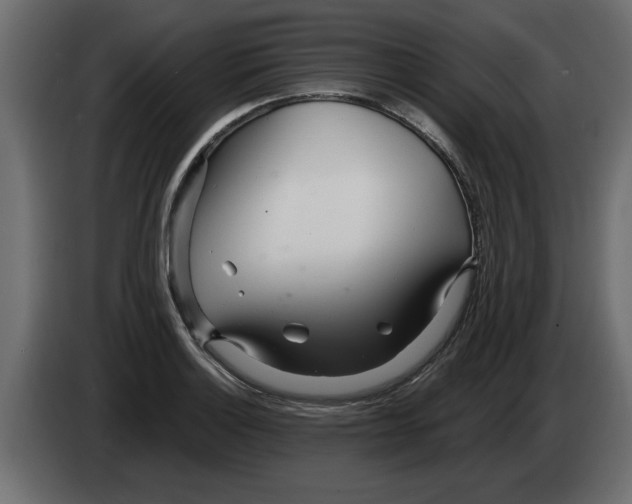X0000082981132200703020251