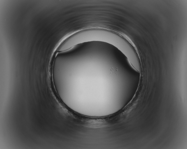 X0000082981133200703020251