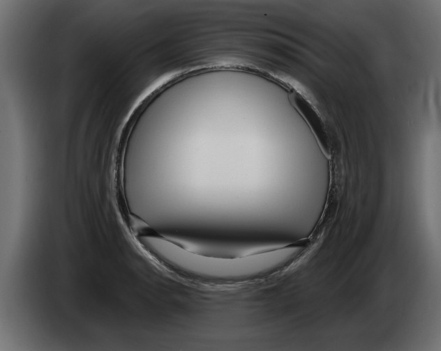 X0000082981134200703020251