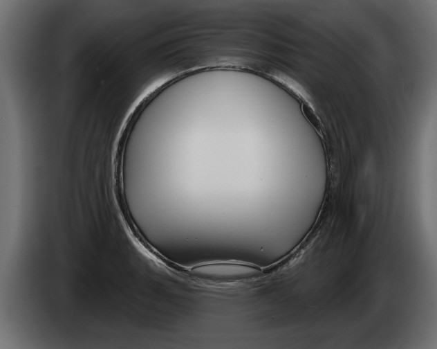 X0000082981135200703020251