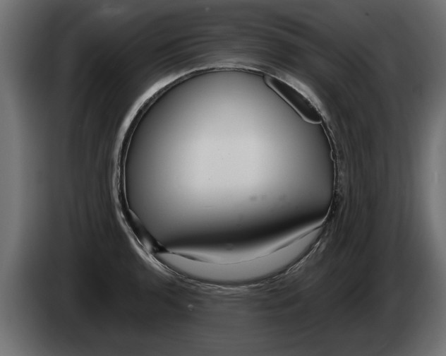 X0000082981136200703020251