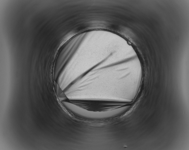 X0000082981137200703020251
