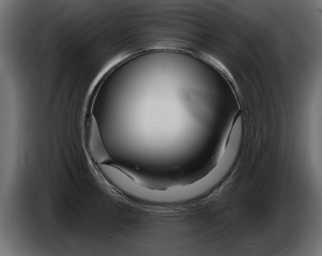X0000082981138200703020251