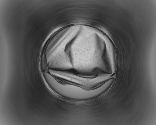 X0000082981139200703020251