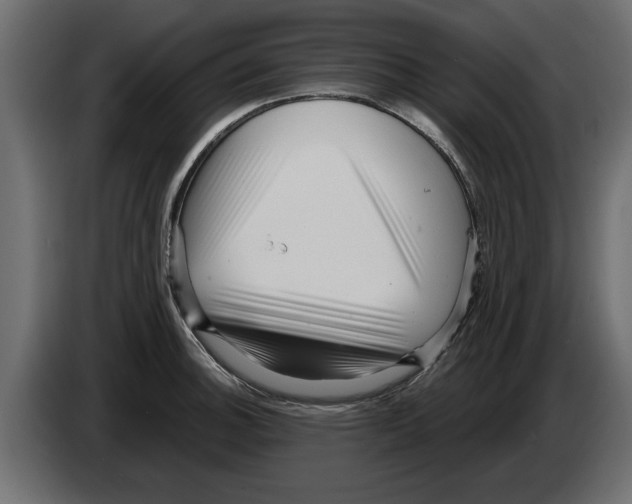 X0000082981140200703020251
