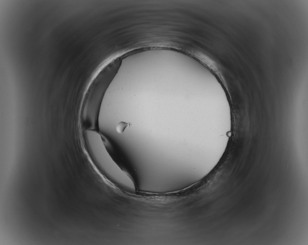 X0000082981141200703020251