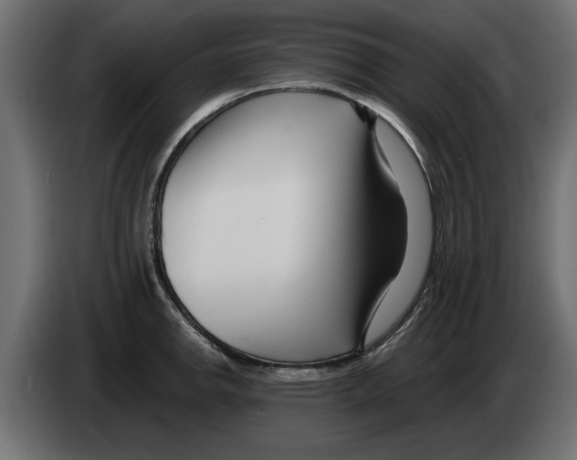 X0000082981142200703020251