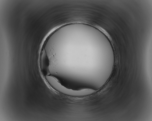 X0000082981144200703020251