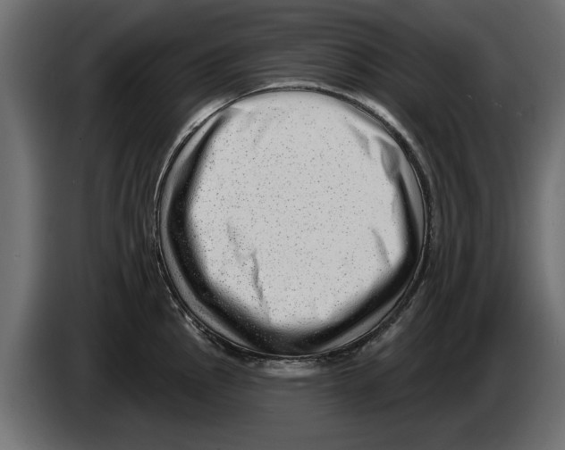 X0000082981145200703020251