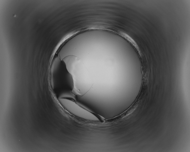 X0000082981146200703020251