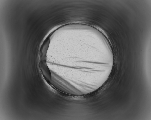 X0000082981147200703020251