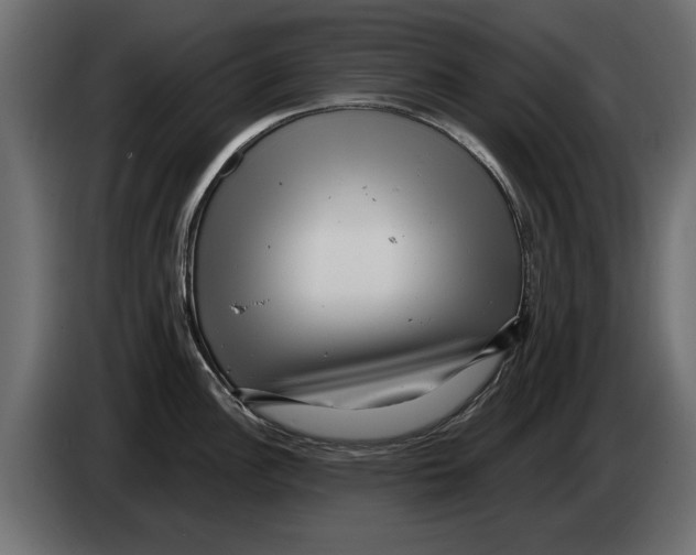 X0000082981148200703020251