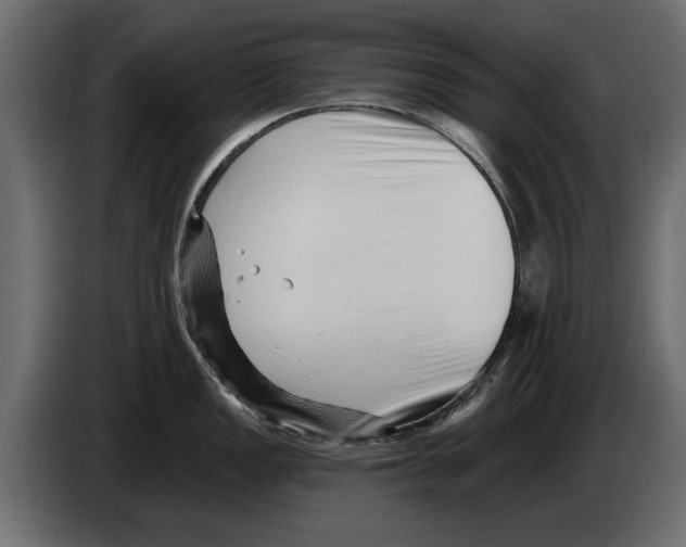 X0000082981149200703020251