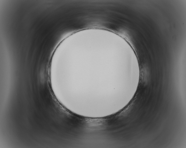 X0000082981150200703020251