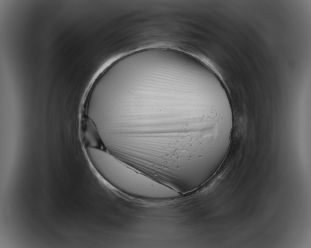X0000082981151200703020251