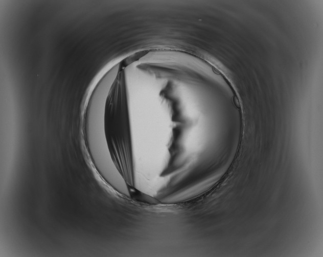 X0000082981152200703020251
