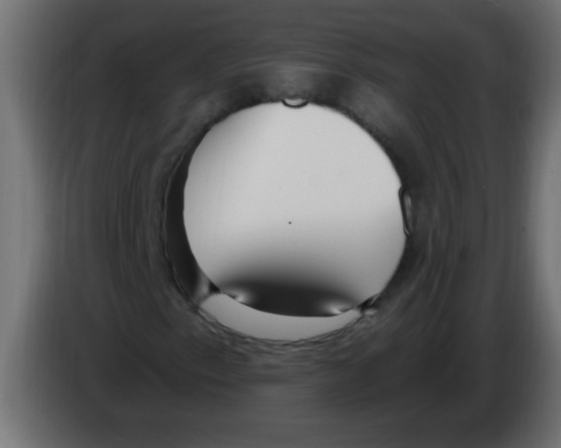 X0000082981153200703020250
