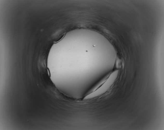 X0000082981155200703020250