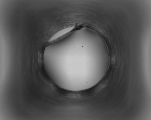X0000082981156200703020250