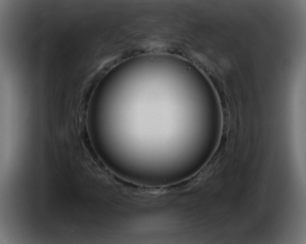 X0000082981157200703020250