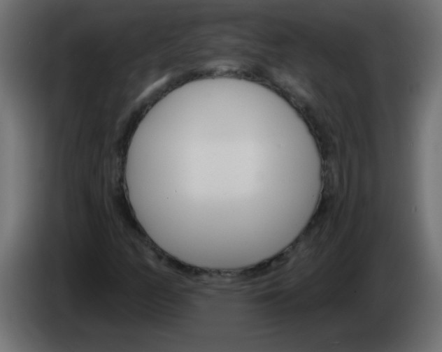 X0000082981158200703020250