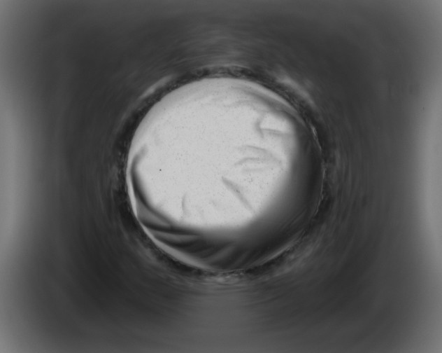 X0000082981159200703020250