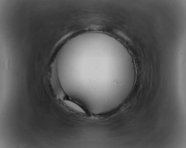 X0000082981160200703020250