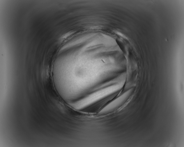 X0000082981161200703020250