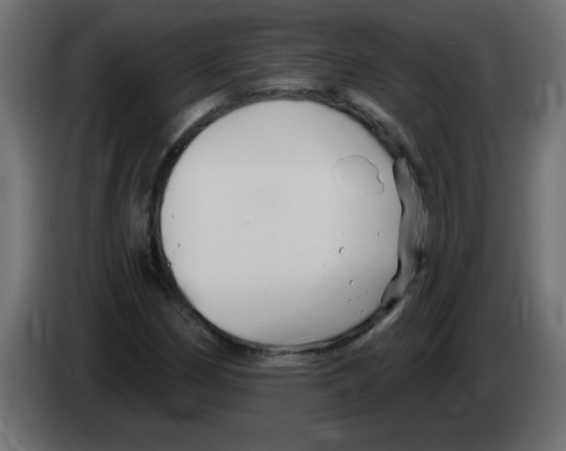 X0000082981162200703020250