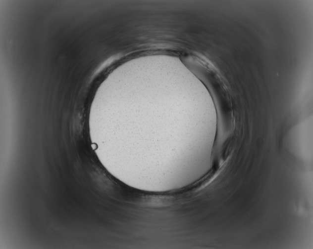 X0000082981163200703020250