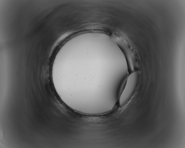 X0000082981164200703020250