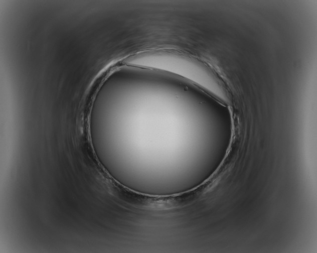X0000082981165200703020250