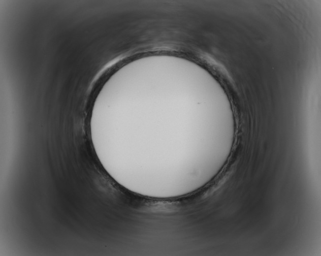 X0000082981166200703020250