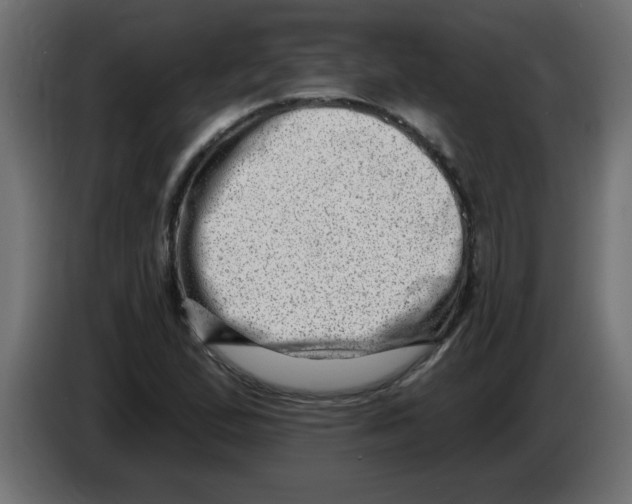 X0000082981167200703020250