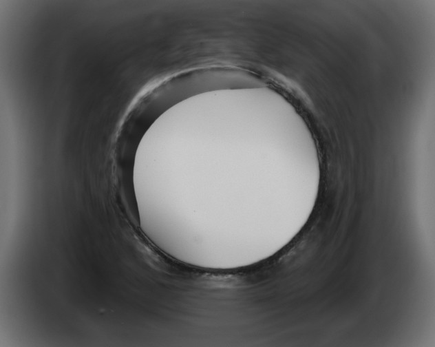 X0000082981168200703020250