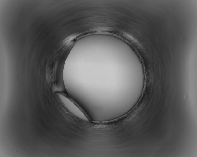 X0000082981169200703020250