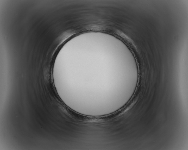 X0000082981170200703020250