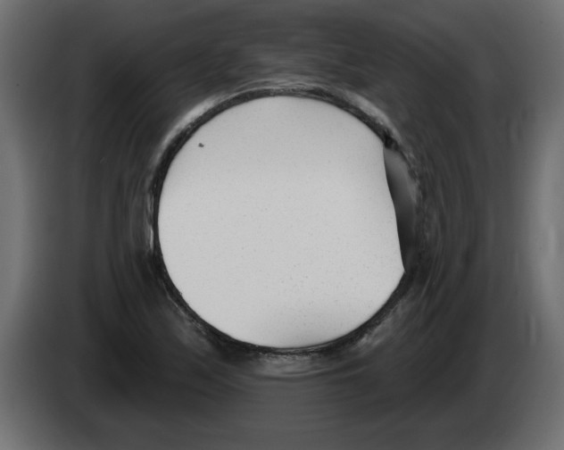X0000082981171200703020250