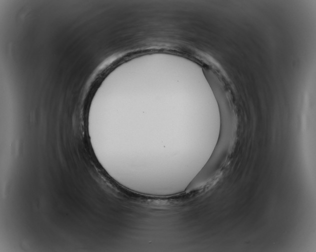 X0000082981172200703020250