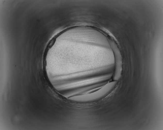 X0000082981173200703020250