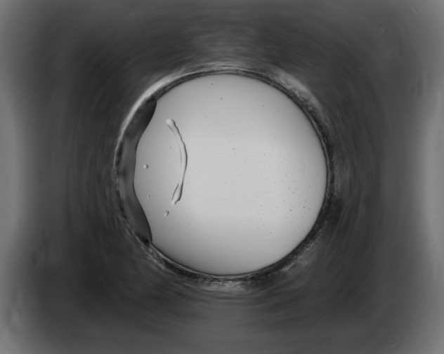 X0000082981174200703020250