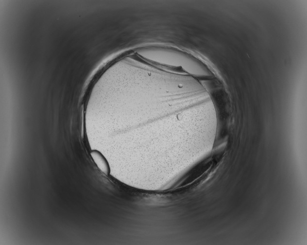 X0000082981175200703020250
