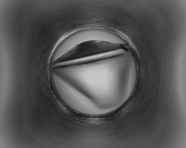 X0000082981176200703020250