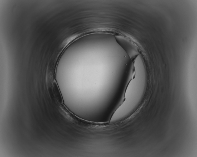 X0000082981177200703020250